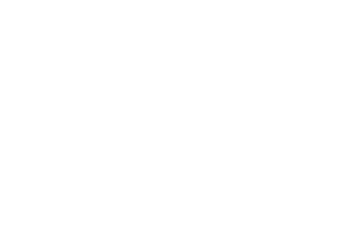 Bravo Health