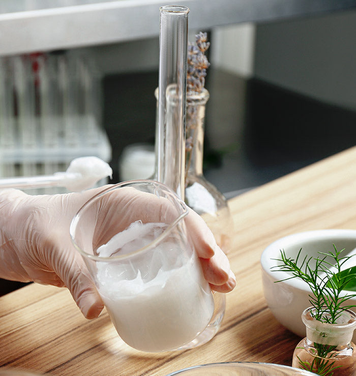 Bravo Health wellness lifestyle